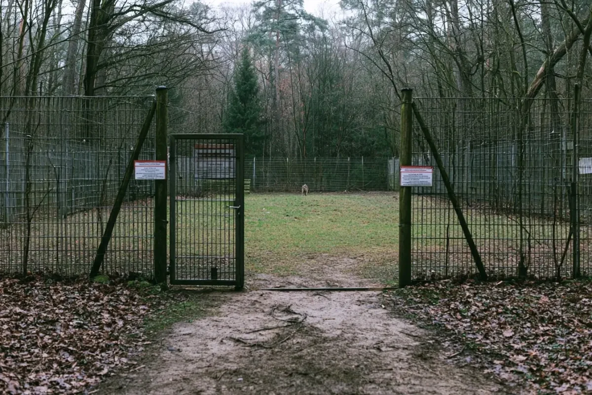 Ataque en zoológico cerca de Berlín genera nuevas dudas